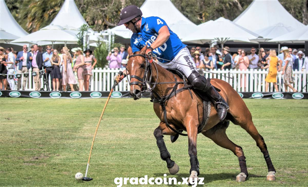 High-end polo experiences